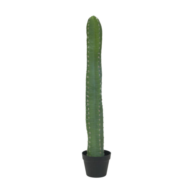 Vihreä pylvästekokaktus mustassa ruukussa, 97 cm