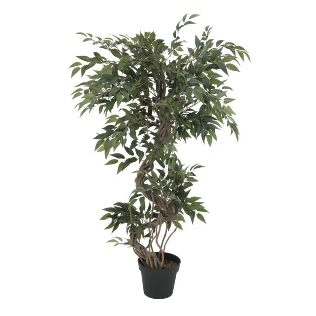 Vihreä ficus-tekopuu kierrekasvustolla taimitarharuukussa