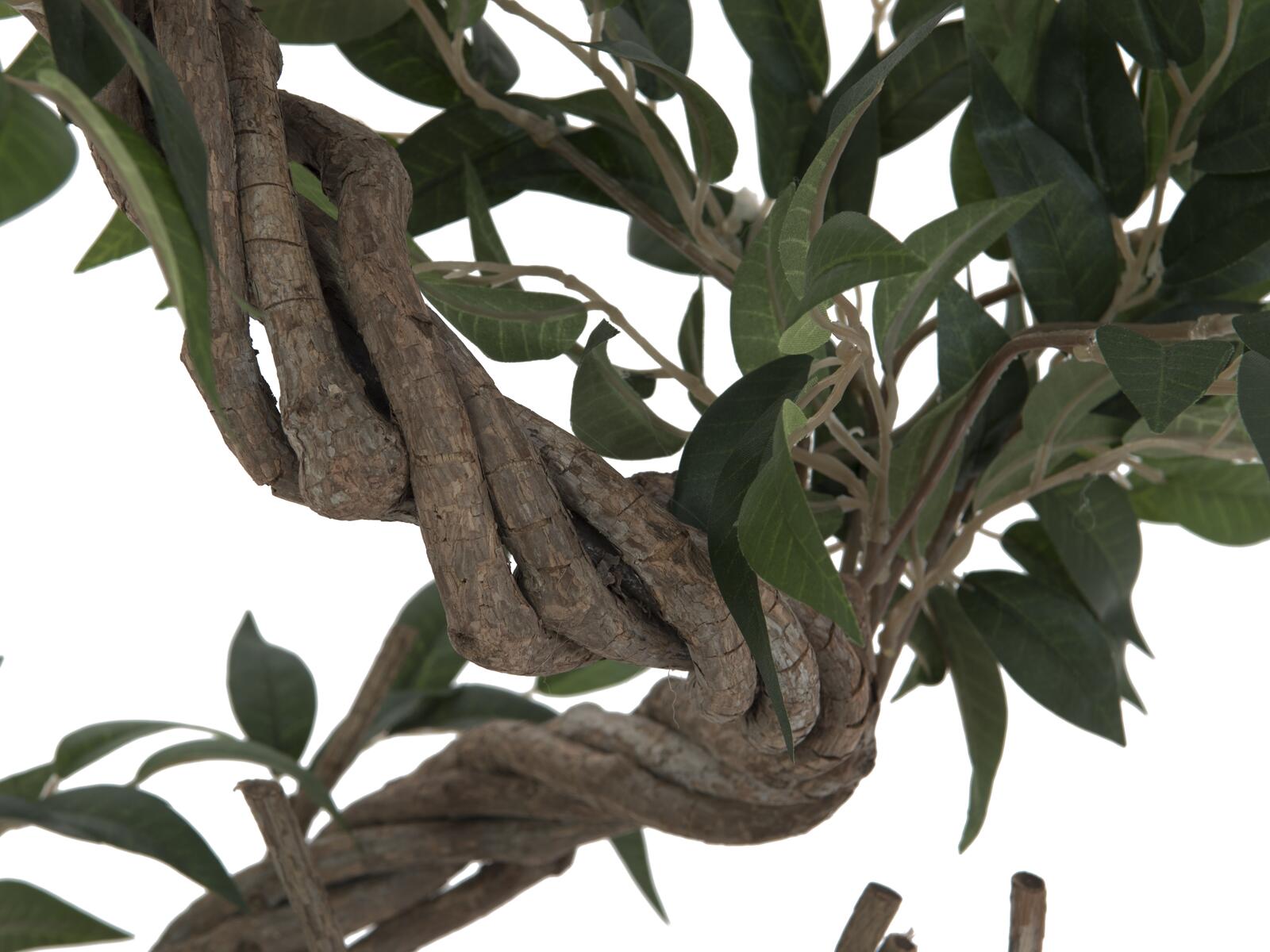 Vihreä ficus-tekopuu kierrekasvustolla taimitarharuukussa