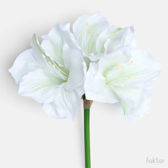 Kermanvärinen amaryllis-tekokukka, 82 cm