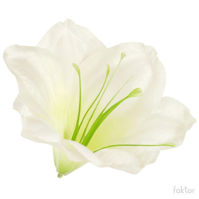 Kermanvihreä satiiniamarylliksen tekokukan kukkapää