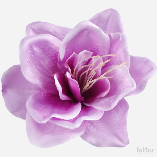 Liila satiiniamaryllis tekokukka, halkaisija 18 cm