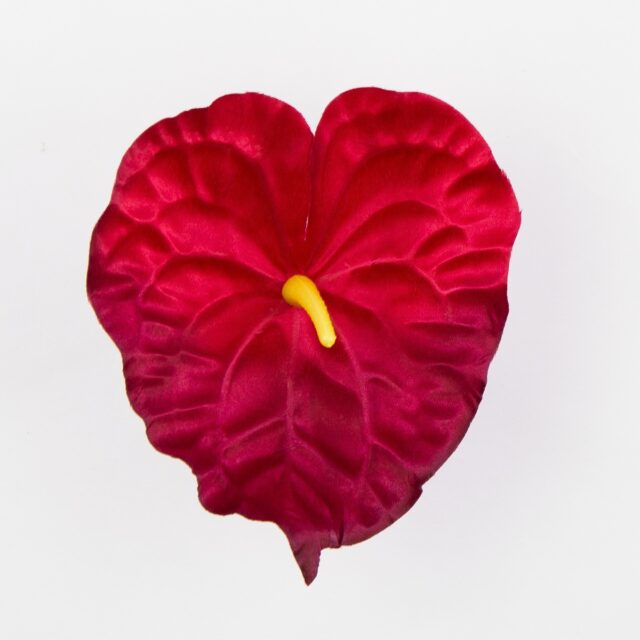 Burgundinvärinen anthurium-tekokukan kukkapää