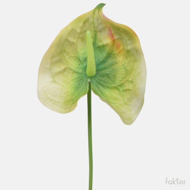 Vihreä kumipintainen anthurium-tekokukka
