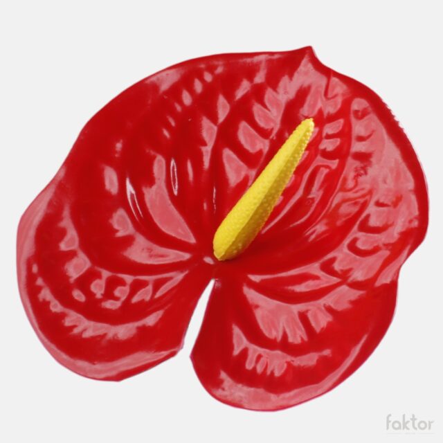 Punainen anthurium-tekokukan kukkapää keltaisella keskustalla