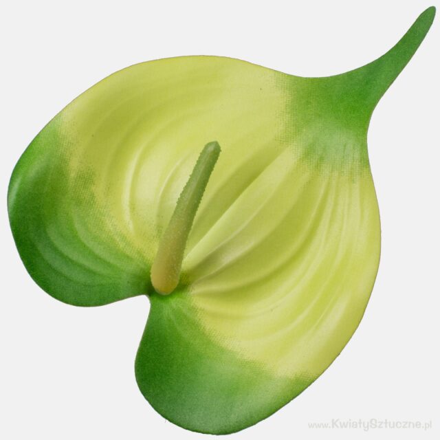 Kerman- ja vihreänsävyinen anthurium-tekokukan kukkapää