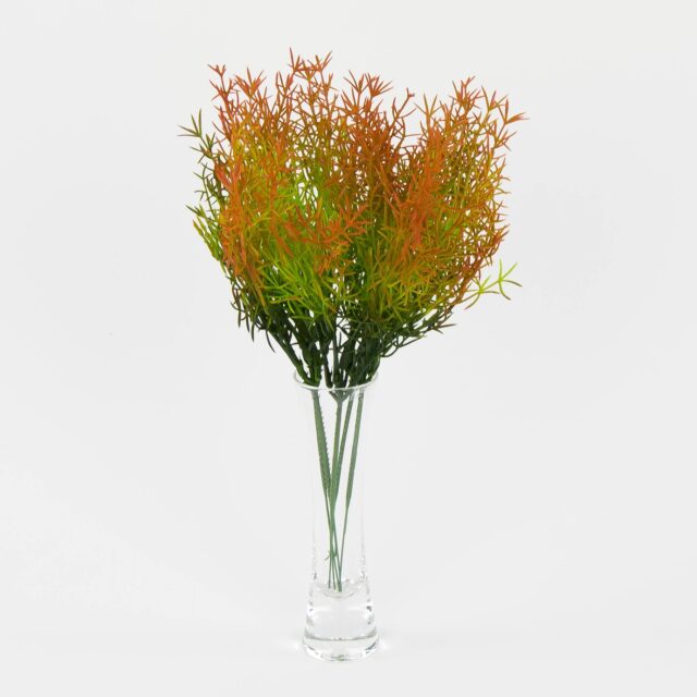 Punainen asparagus-tekokasvioksa