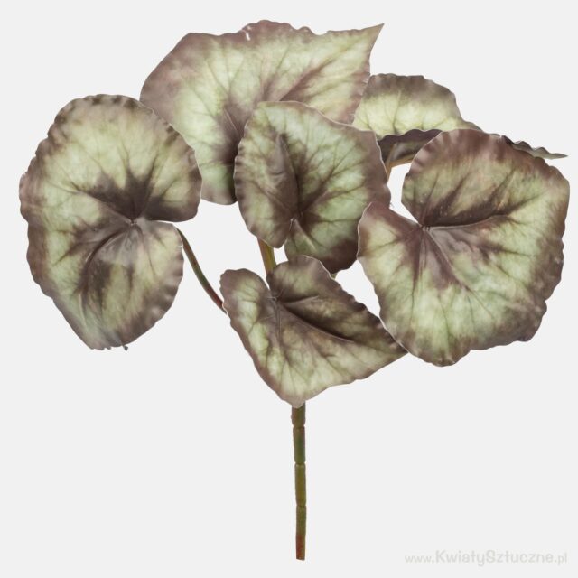 Vihreä begonia-tekokasvi, 30 cm