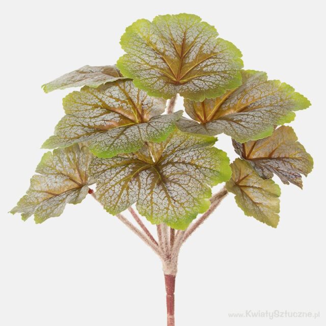 Vihreä-ruskea begonia-tekokasvi, 24 cm