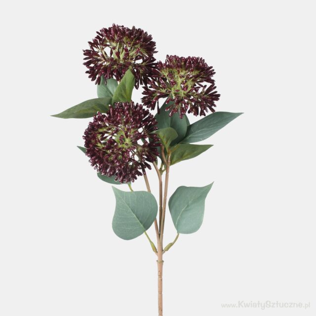Tummanvioletti tekokukka-allium, jossa kolme kukintoa