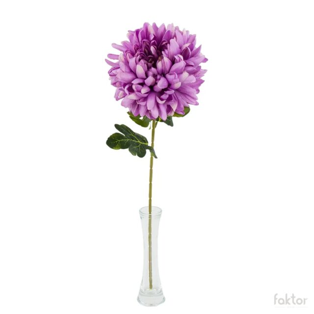 Violetti krysanteemi tekokukka kukkavarrella