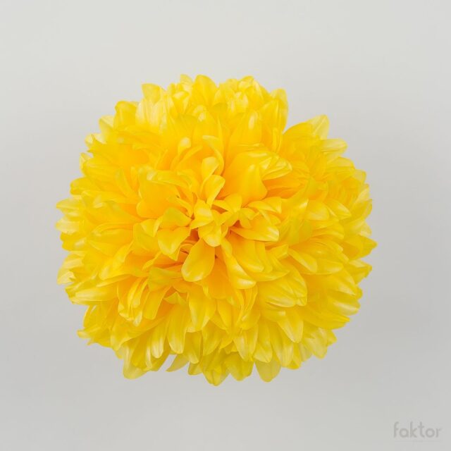 Keltainen krysanteemin tekokukan kukkapää