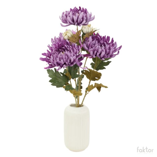 Violetti krysanteemi-tekokukka