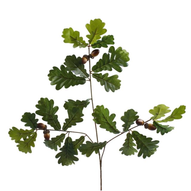 Vihreä tammen tekokasvin oksa lehdillä ja tammenterhoilla