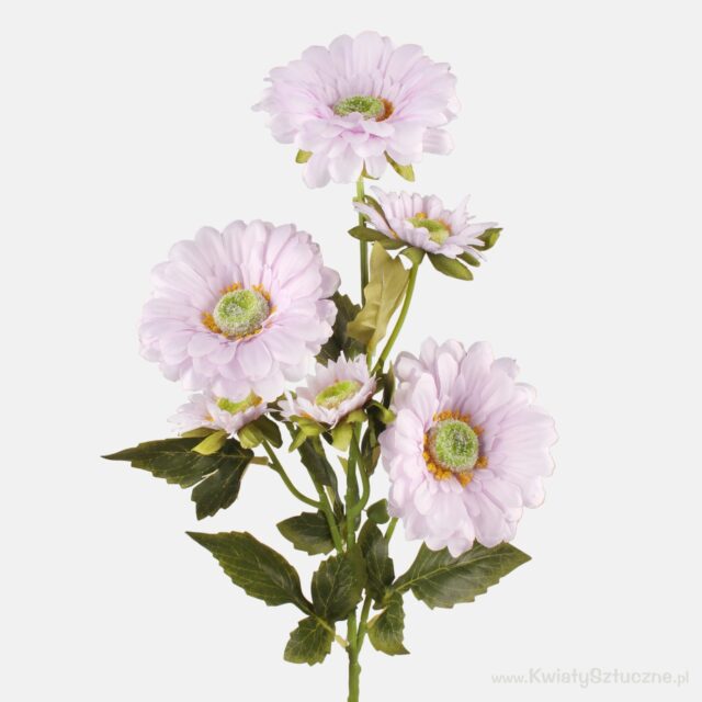 Vaalean liila tekogerberan oksa, 6 kukkaa, 66 cm