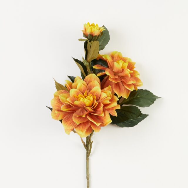 Oranssinkeltainen tekodaalian oksa vihreillä lehdillä