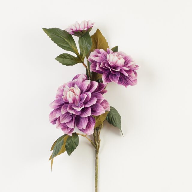 Violetti tekodaalian oksa, jossa useita kukkia ja vihreitä lehtiä