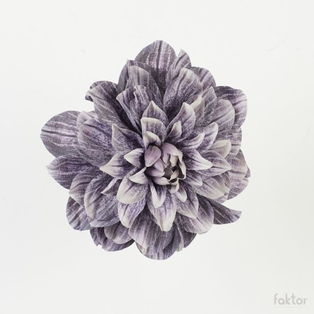Harmaa-violetti daalian tekokukkapää