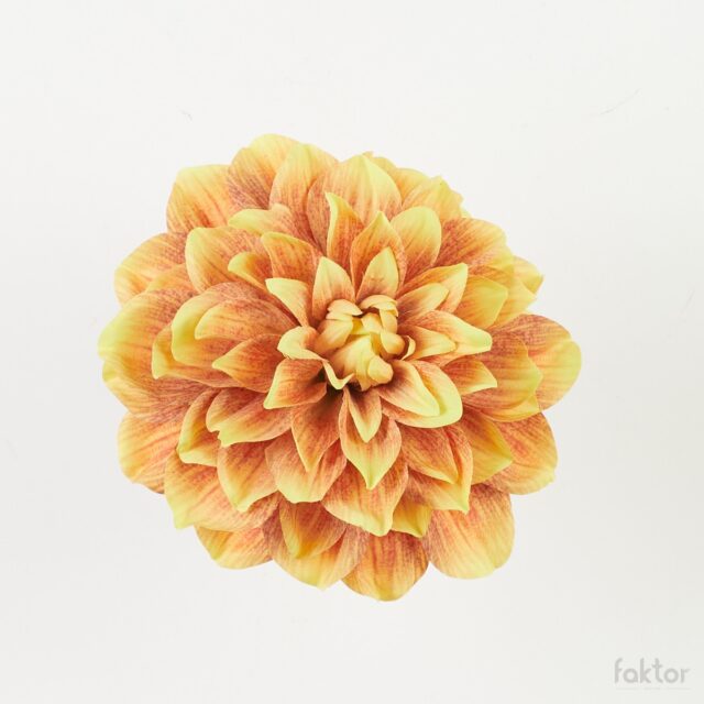 Keltainen daalian tekokukkapää, halkaisija 17 cm