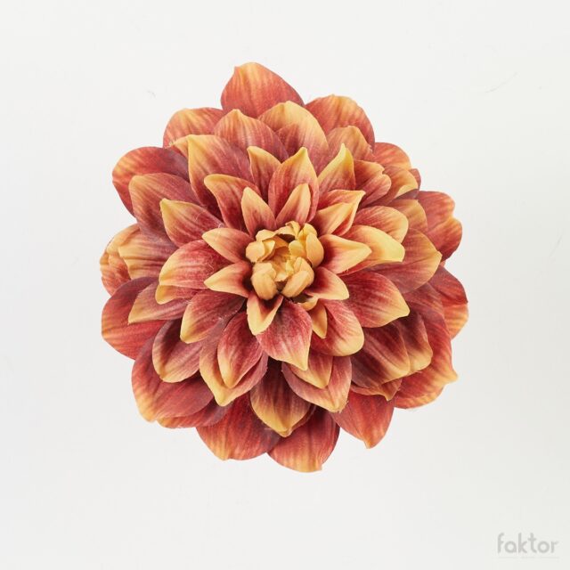 Oranssinpunainen daalian tekokukkapää, halkaisija 17 cm