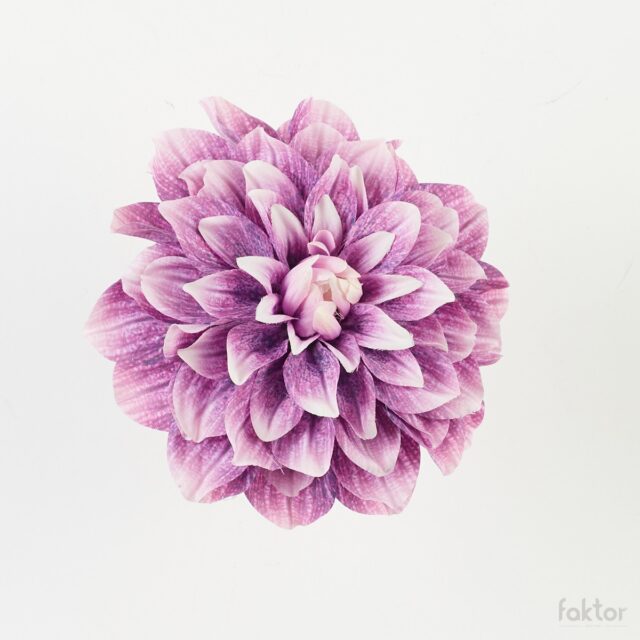 Violetti daalian tekokukkapää, halkaisija 17 cm
