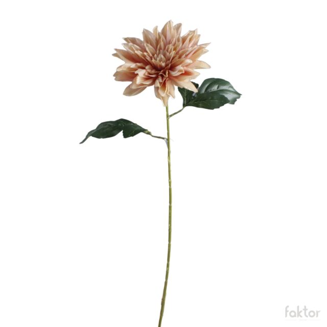 Beige daalia tekokukka, 67 cm