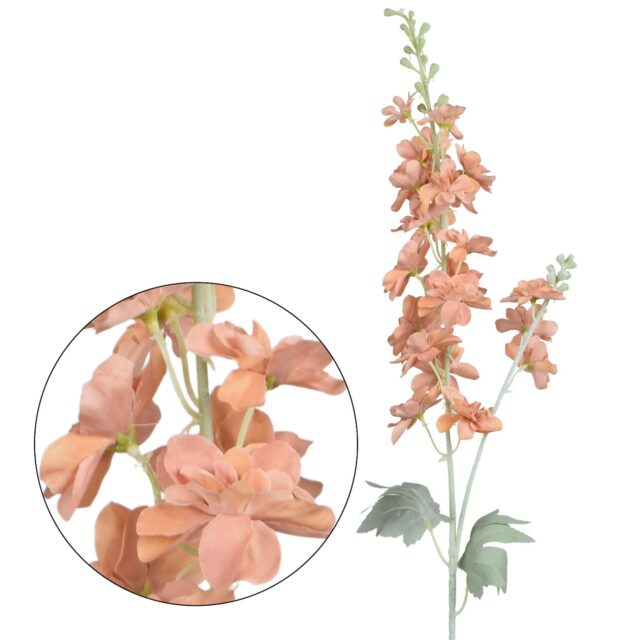 Kirsikanruskea delphinium-tekokukkaoksa