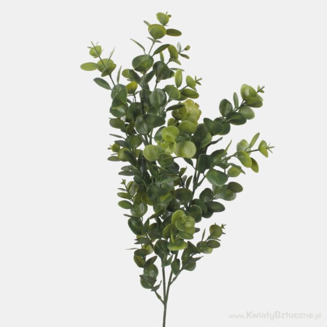 Vihreä eukalyptuksen tekooksa, 72 cm
