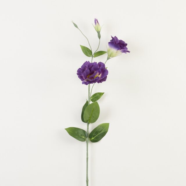 Kerman- ja tummanvioletti eustoma-tekokukkaoksa