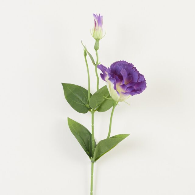 Kerman- ja tummanvioletti eustoman tekokukkaoksa