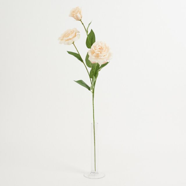 Beige eustoma-tekokukkaoksa, kolme haaraa