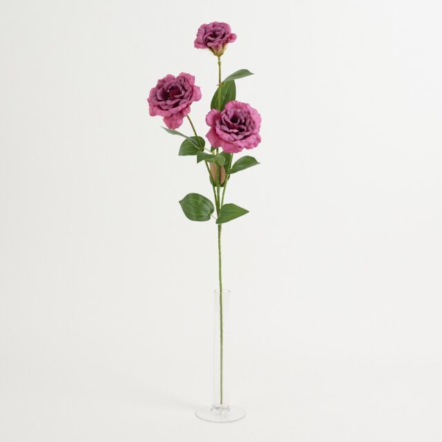 Violetti eustoma-tekokukkaoksa, kolme haaraa