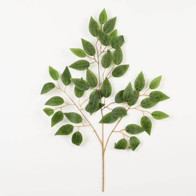 Vihreä tekofiikuksen oksa lehdillä, 62 cm