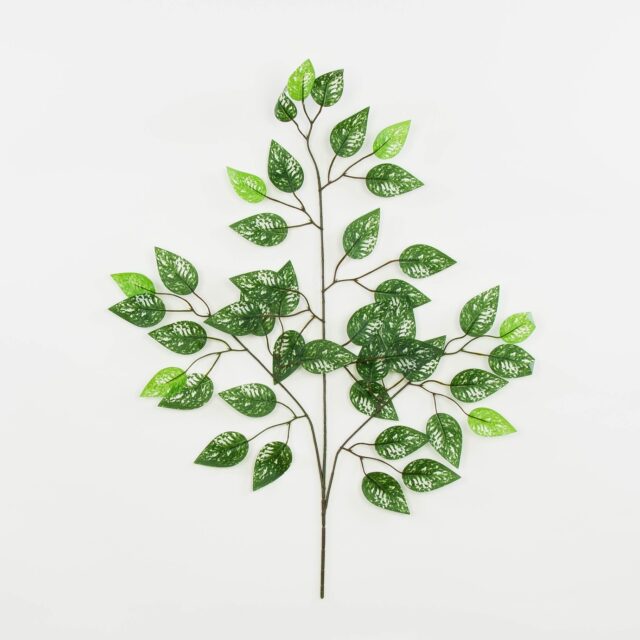 Kirjava vihreä ficus-tekokasvioksa