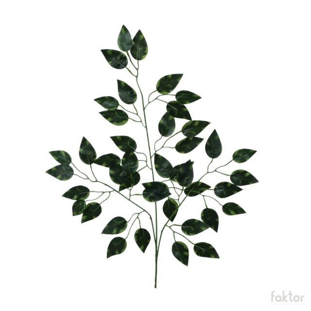 Vihreä tekofikusoksa lehdillä, 62 cm