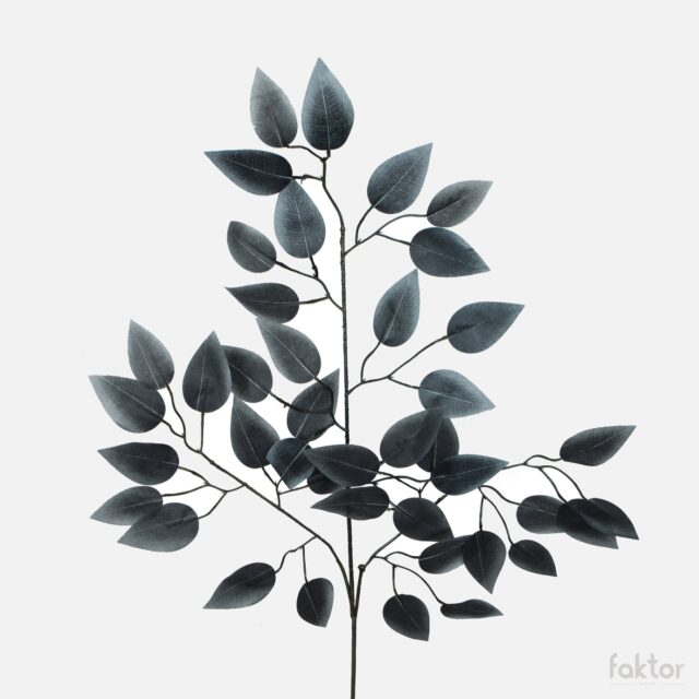 Musta Ficus-tekokasvin oksa, 60 cm