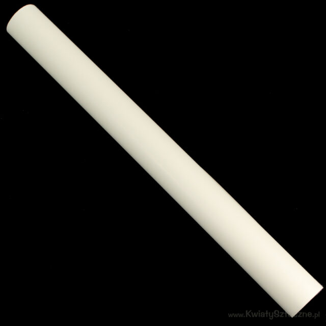 Ecrunvärinen satiinifolio, 50 cm