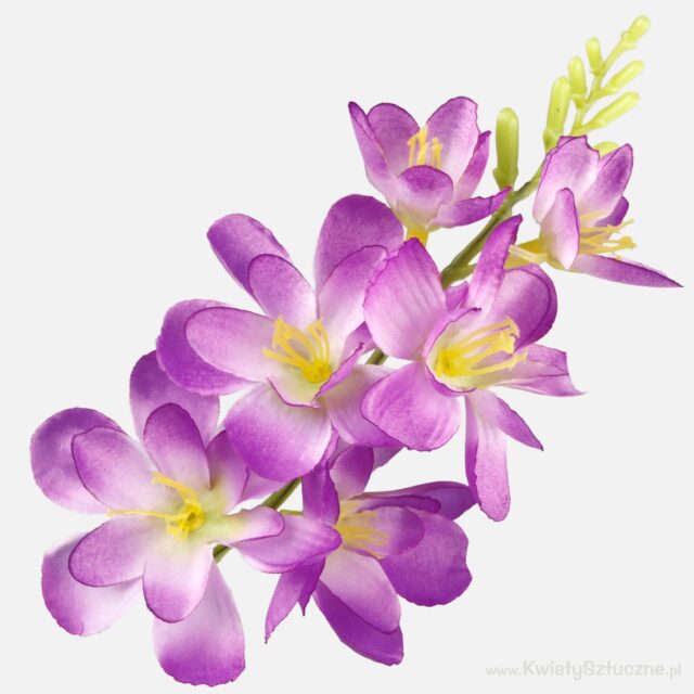 Liila satiinifreesia tekokukka, 20 cm