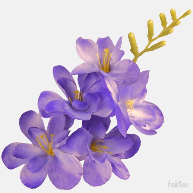 Violetti-valkoreunainen tekofreesian kukkapää