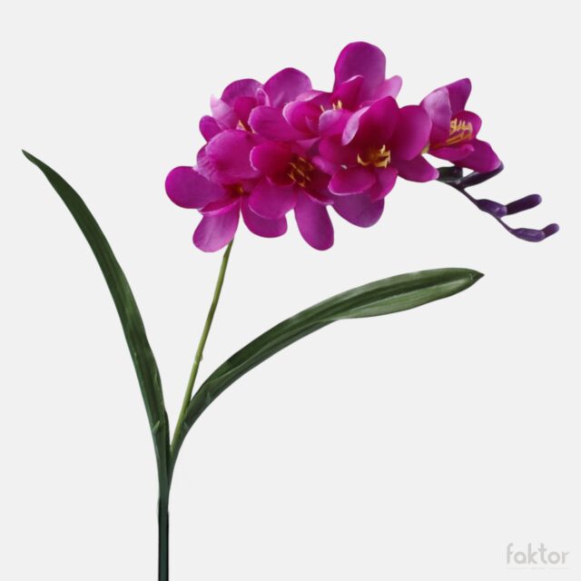 Burgundinpunainen freesia tekokukka, 6 kukintoa, 56 cm