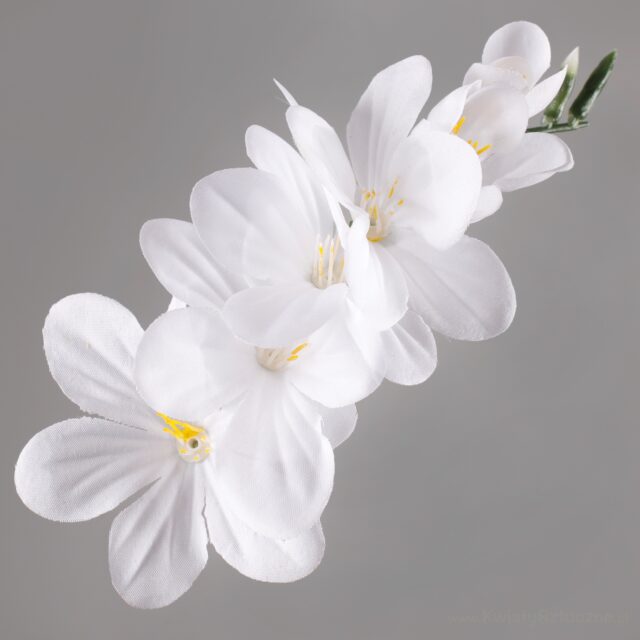Puhdasvalkoinen freesia-tekokukan pää