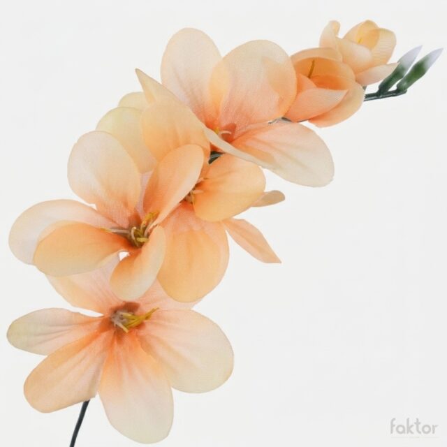 Vaaleanoranssi freesia-tekokukka, pituus 15 cm