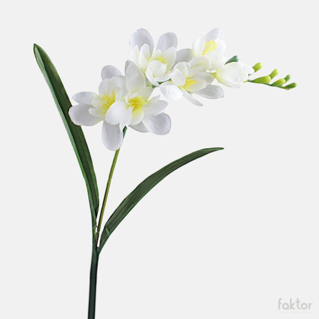 Kermanvärinen freesia-tekokukka, 6 kukintoa, 56 cm