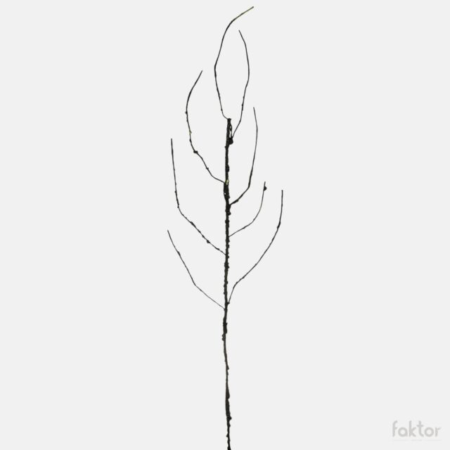 Harmaa lehdetön koristeoksa 100 cm