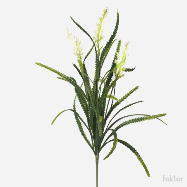 Valkoinen koristeoksa, 68 cm