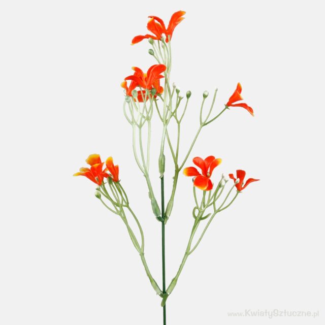 Oranssi nemesia-tekokukkaoksa 33 cm