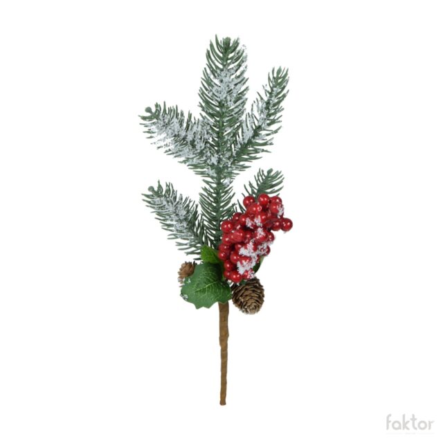 Vihreä-punainen koristehavunoksa, 36 cm