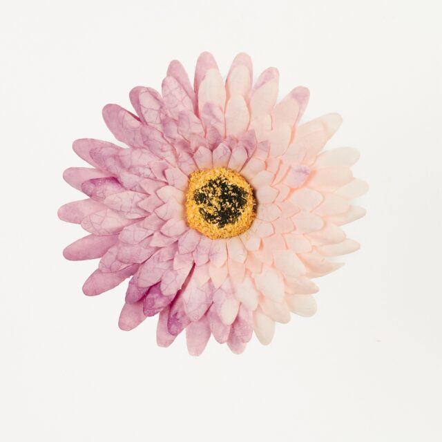 Vaaleanpunainen painettu gerbera-tekokukan pää