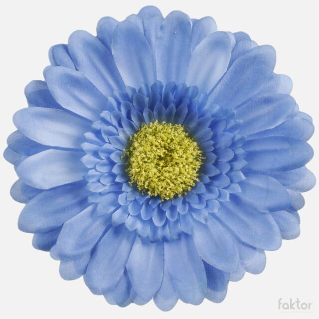 Sininen XXL-gerbera-tekokukka, halkaisija 15 cm