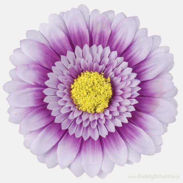 Violetti XXL-gerbera-tekokukka, halkaisija 15 cm